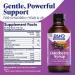 Zand Kids Elderberry Syrup 4 oz - Immune Support for Children - Buy Online on GoSupps.com