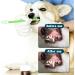 KALIONE 10 Pieces Dog Tooth Brushing Kit Dual-Head Pet Toothbrush Multi-Color Cat Toothbrush Portable Toothbrush for Dogs Soft Tooth Brushing Kit for Dog Cat Pet Teeth Cleaning and Dental Care - Buy Online on GoSupps.com