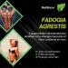 Fadogia Agrestis - 60 capsules - very concentrated - testosterone - Buy Online on GoSupps.com