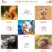 Small Pet Cage Hammock & Tunnel Set - Guinea Pig, Ferret, Rat, Chinchilla Sleeper Accessories (Green) - Buy Online on GoSupps.com