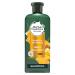 Herbal Essences Bio: Renew Sulfate-Free Honey & Vitamin B Shampoo  13.5 Fl Oz (Pack of 1)