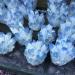 Natural Crystal Rough 300g-780g Natural Blue Phantom Ghost Quartz Crystal Cluster for Decoration 1pc (Color : 1pc 640g-700g) - Buy Online on GoSupps.com