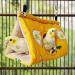 Rypet Winter Warm Bird Nest House - Hanging Hammock Velvet Shed Hut Cage Plush Fluffy Birds Hideaway Sleeping Bed for Parrot Parakeet Cockatiels Budgies Lovebird African Grey - Yellow - Buy Online on GoSupps.com