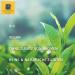 Buy 3x100g Organic China Sencha Green Tea - Premium Quality & International Shipping - Buy Online on GoSupps.com