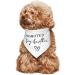Vercosee Big Brother Dog Bandana - Gender Reveal Photo Props for Dog Lover (White) - Buy Online on GoSupps.com
