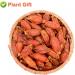 Flower 2 (80G-Gardenia Fruit) - Buy Online on GoSupps.com