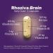 Rhoziva Brain Supplement. For Memory Focus Cognitive Health Concentration Support & Natural Stress Relief. With Bacopa Monnieri Rhodiola Rosea Vitamin B Complex Vitamin A Biotin. Nootropic brain supplement Gluten Free 60 Capsules (Pack of 3) 60 count (Pac - Buy Online on GoSupps.com