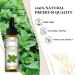 EUQEE Spearmint Essential Oil 10ml 100% Pure Natural Spearmint Oils Aromatherapy Essential Oils for Diffusers for Home Relax Candle Making Spearmint 10 ml (Pack of 1) - Buy Online on GoSupps.com