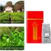  Gavigain 50g Dahongpao Tea Highly Flavored Chinese Oolong Tea Fujian Wuyi Rock Tea Dahongpao Oolong Tea Canned Da Hong Pao Tea for Tea Lovers Gift Idea for Friends and Family - Buy Online on GoSupps.com