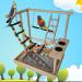 Hamiledyi Parrots Playground: Wood Perch Stand with Toys, Ladders, Swing, Feeding Cups - Perfect Activity Center for Conure, Cockatiel, Lovebirds - Includes Tray - Buy Online on GoSupps.com