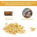 100PCS 1/4 Inch Track Shoe Spikes Replacement Set - Ideal for Sprinting, Running, Hiking, High Jumping - Gold - Buy Online on GoSupps.com