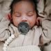 FRIGG Daisy Natural Rubber Baby Pacifier 2-Pack | BPA-Free | Made in Denmark | Graphite/Peach Bronze 0-6 Months - Buy Online on GoSupps.com