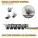 Buy QueWEL Mega D Curl Individual Eyelash Clusters - 12-18mm Segments for DIY Extensions | International Shipping Available - Buy Online on GoSupps.com