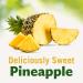 DEL MONTE Canned Pineapple Slices in 100% Juice  Canned Fruit  12 Pack  20 oz Can Sliced - Buy Online on GoSupps.com