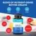 Equip Foods Grass-Fed Beef Organs Supplement - Heart, Kidney & Spleen Support - Detox & Digestion - Hormone Antibiotic Free - 120 Capsules - Buy Online on GoSupps.com