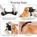 Adjustable Black Dog Muzzle with Velcro Fastener - Safe for Biting Barking & Chewing - Breathable Mesh - Size S - Buy Online on GoSupps.com