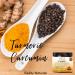 Reddy Naturals Turmeric Curcumin Powder with Black Pepper - 100% Pure Curcuminoid Supplement - Non GMO, Gluten-Free, Honey Flavor - 4.2 Oz - Buy Online on GoSupps.com