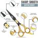 KINZIO Professional Hair Scissor - Stainless Steel Hair Cutting Shears for Salon Barbers - 6 inch - Buy Online on GoSupps.com
