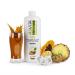Asvita beverage concentrate Fresh Mix 1: 80-1 liter bottle - beverage syrup sugar -free - 26 delicious zero syrup flavors (tropical) Vital drink with vitamins