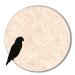 Anbobo M ller GmbH 12 kg bird sand white germ-free high quality substrate for cages (fine)