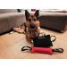 DINGO GEAR Dog Bite Pillow for K9 Training Obedience IGP Special Forces Dogs Bite Sessions Handmade Wedge with 3 Handles Red Nylcot Medium Soft (S00526) red MEDIUM SOFT - Buy Online on GoSupps.com