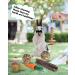 Pweituoet Rabbit Toys for Small Animals - 100% Natural Handmade Chew Treats for Bunny, Hamster, Guinea Pig, Chinchilla, Rat | Variety of 14 Types - Buy Online on GoSupps.com