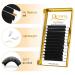 QUEWEL Easy Fan Volume Eyelash Extensions | 0.03-0.12mm | CCCDDD Curl | 8-25mm Length | 2D-20D Self Fanning Lashes - Buy Online on GoSupps.com