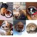 Senpusi Rechenrause - Protective Plastic Elizabethan Collar for Cats Small Dogs & Rabbits | Size 5 (23-27cm) - International Shipping Available - Buy Online on GoSupps.com