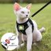 Adjustable Cat Dishes Set - Reflective Soft Lining & Breathable Mesh for Outdoor Training | M Size (Black) - Buy Online on GoSupps.com