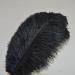Sowder 10pcs Black Ostrich Feathers 12-14inch for Home Wedding Decoration - Buy Online on GoSupps.com