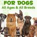 3-in-1 Dog Probiotic Drops - Relieve Diarrhea, Support Gut Health, Immunity & Skin - Bacon Flavor - 60ml - Buy Online on GoSupps.com