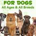 Probiotic for Dogs Natural 3 in 1 Dog Probiotic Drops Helps Relieve Diarrhea Supports Gut Health Itchy Skin Allergies Immunity Digestive Enzyme for Dog Supplement Bacon Flavor - 2 fl.oz - Buy Online on GoSupps.com