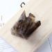 Minerals Stones Natural Transparent Tawny Stone Stone Quartz Crystal Cluster Cleaning degrupting Ornaments for Decoration Crystal Stones Decoration Natural Stones and Minerals (Color : Smoked Quartz 150-200g Smoked Quartz - Buy Online on GoSupps.com