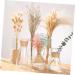 HOMSFOU 30 Pcs Decor Natural Dried Flowers Artificial Flower Wheat As Shownx2pcs mediumx2pcs - Buy Online on GoSupps.com