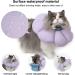 HiDREAM Cat Cone Collar | Cute & Waterproof Elizabethan E-Collar for Cats | Anti-Bite & Lick Wound Healing Collar | Safety Cat Recovery Collar | Medium - Purple - Buy Online on GoSupps.com