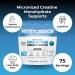 MYOXCIENCE Micronized Creavitalis Creatine | The World s Purest Micronized Form of Creatine Monohydrate | Supports Muscle Performance Lean Body Mass & Cognition | 75 Servings - Buy Online on GoSupps.com