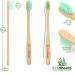 EcoShoots Adults Bamboo Toothbrushes with Medium Bristles | Family Pack of 5 Natural Bamboo Toothbrush | Eco-Friendly Natural Wooden Toothbrush | Organic Biodegradable Handle | BPA Free Tooth Brushes Medium 5 Pack - Buy Online on GoSupps.com