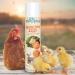 Ida Plus Kieselgur Spray 400ml - Natural Pebble Powder for Chickens & Quail - Easy Spray Can for Chicken Coop Care - Buy Online on GoSupps.com