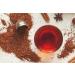 Rooibos Red Dynasty Tea 75g (75g) - Buy Online on GoSupps.com