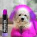 Dog Hair Dye - Styling and Coloring Pencil for Hair Vibrant Washable Markers for Creative Grooming of Cats Livestock and Other Pets - Buy Online on GoSupps.com
