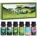Salking nature essential oil set aromatherapy fragrance oil gift set pure fragrance oils for diffuse humidifiers 6x10 ml (pine sea breeze rain freshly cut grass wildflowers mountain air)