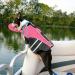 Reflective Dog Life Jacket with Neck Float - High Buoyancy for Swimming - Pink M - Buy Online on GoSupps.com
