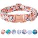 Unique Style Paws Rose Rose Dog Hales Band Cubs and Linen For Collar Dog Dog Bite Fly Chain Dog Dog Collar Train Cold Gifts For Small Medium Grand Dogs XL XL Pink Rose