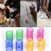 iSMARTEN Cat Spring Toy (60 Pack) - Plastic Coil Springs for Swatting, Biting, and Hunting - Random Color - Interactive & Fun Cat Kittens Toys - Buy Online on GoSupps.com