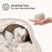 Daily Treasures 12PC Organic Wool Raccoon Set & 2PC Animal Hair Remover - Natural Wool Dryer Balls for Sensitive Skin | Reduce Folds White & Black - Buy Online on GoSupps.com