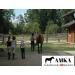 Buy AMKA Hackamore Baroque - 3 Rings Brown Leather Noseband | International Shipping Available - Buy Online on GoSupps.com