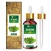 Brahmi Oil (bacopa monnieri) Carrier Oil 100% Pure & Natural Undiluted Unrefined Uncut Organic Standard Oil Cold Pressed Therapeutic Grade Aromatherapy Bulk Oil (50 ML)