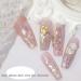 Irregular Seashell Slices Nail Art Flakes - Colorful Shell Supplies for UV Gel Manicure & DIY Crafts - Buy Online on GoSupps.com