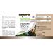 Fairvital | Maitake 500mg VEGAN - Highly dosed - 90 capsules - mushroom powder - Buy Online on GoSupps.com