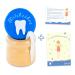 ZWEN Milk Tooth Box - Wooden Screw Cap Tweezers & Tooth Fairy Letter - E-Book Included | Perfect for Boys & Girls (Blue) - Buy Online on GoSupps.com